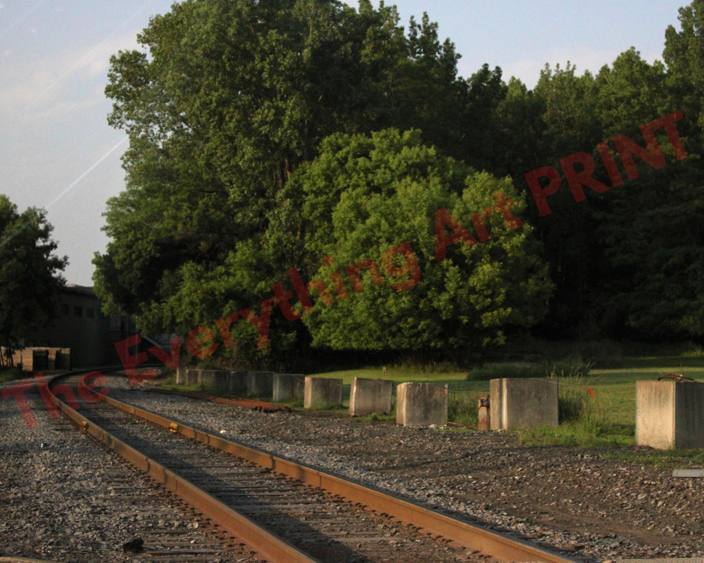 Railroad Journey