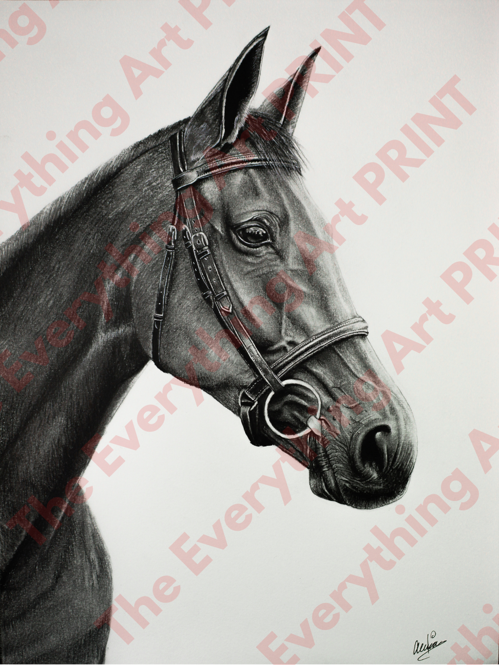 Graphite Horse Print