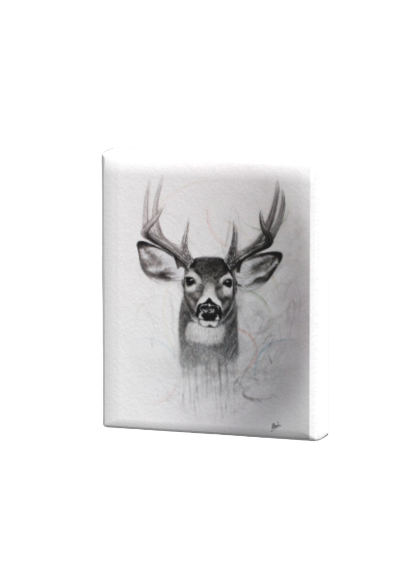 Realistic Buck Print