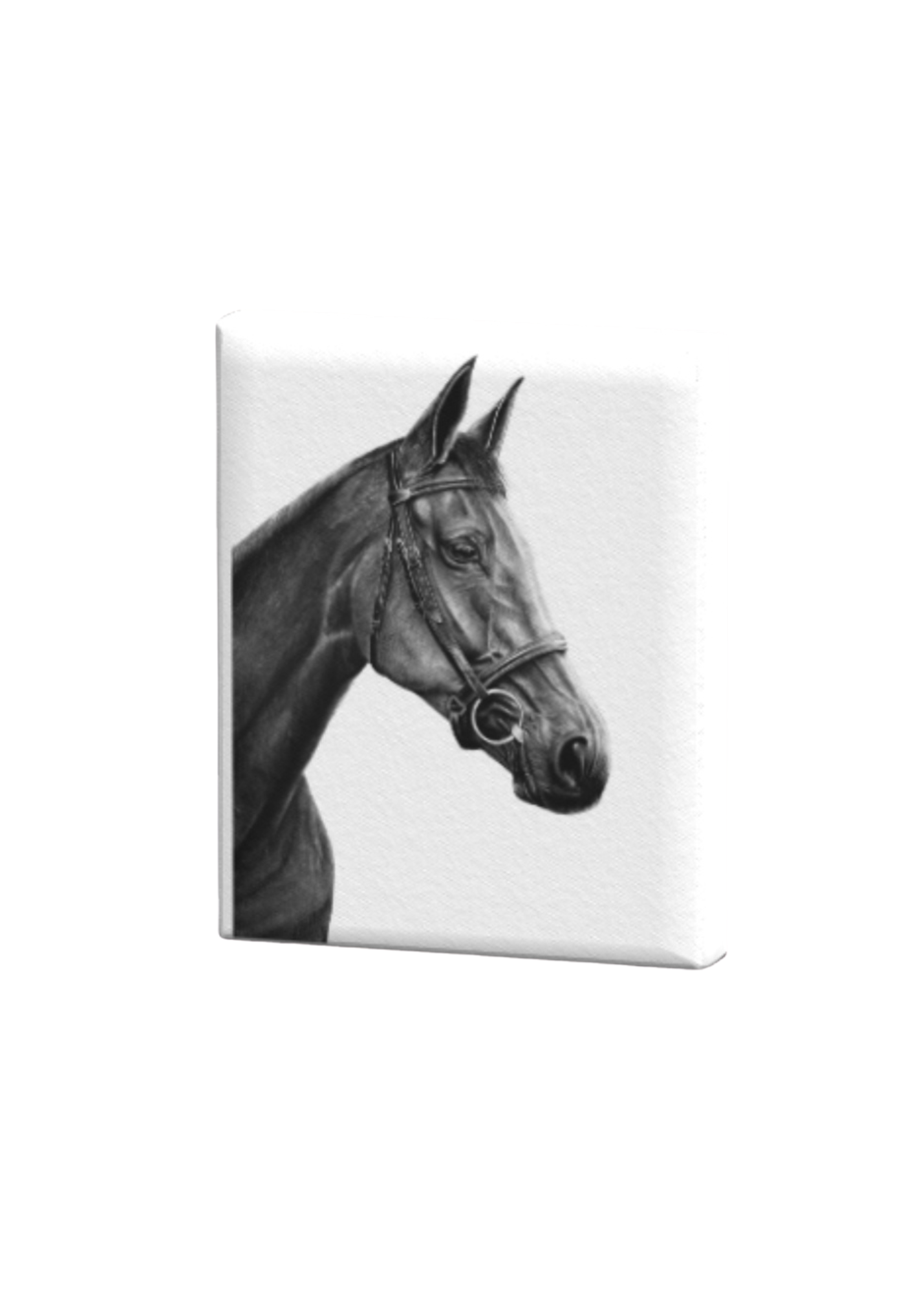 Graphite Horse Print