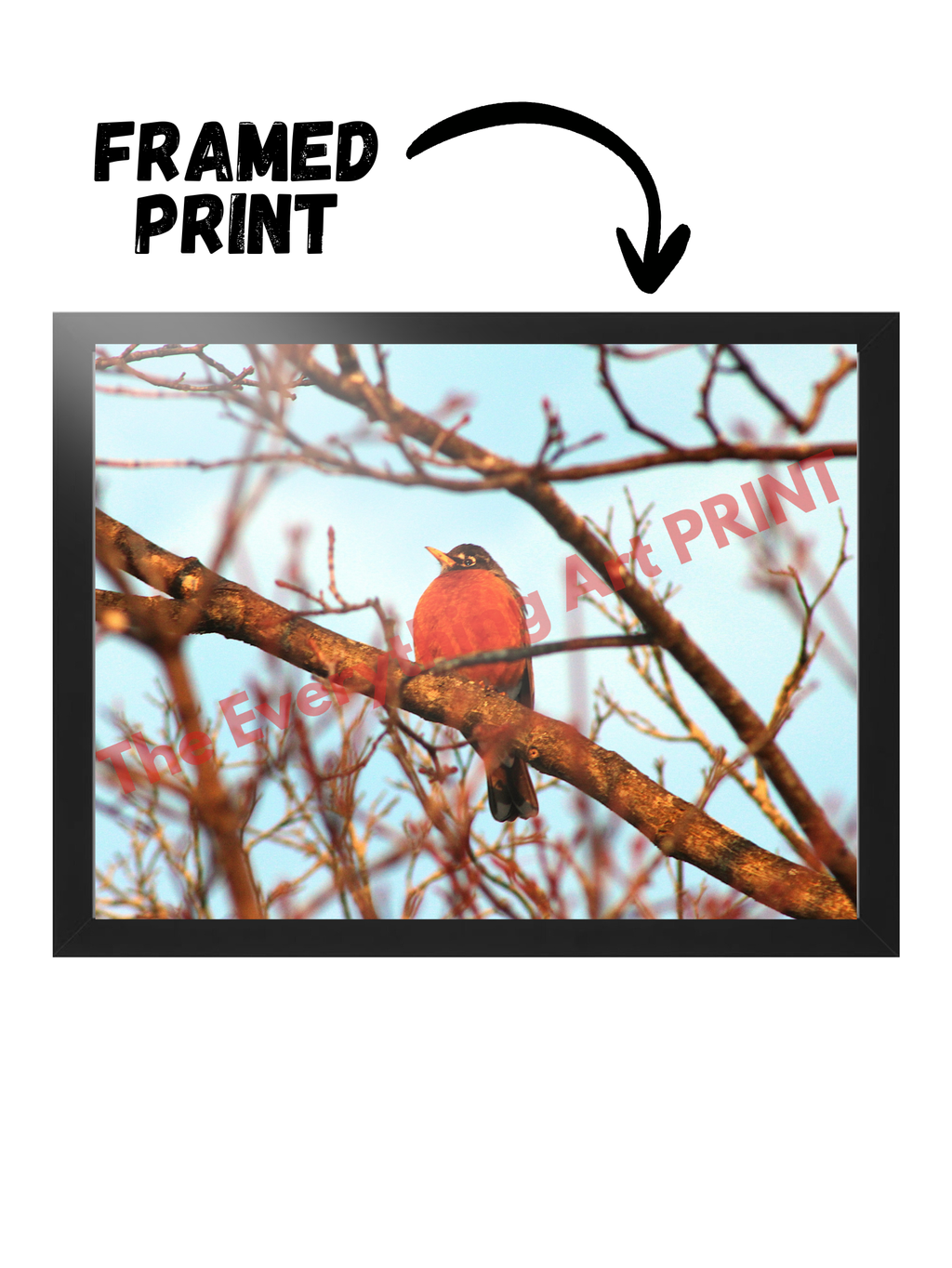 Bird in the Morning