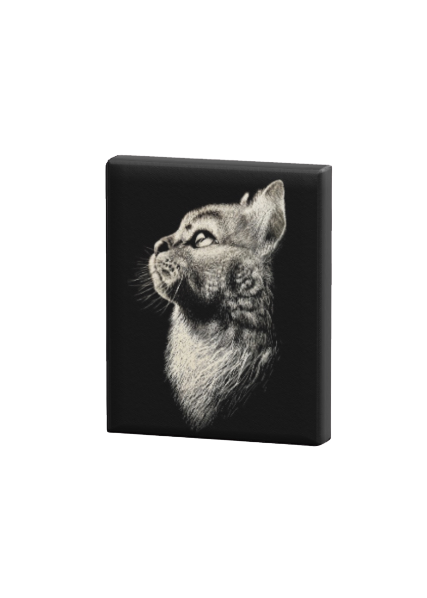 Scratch Art Cat Print