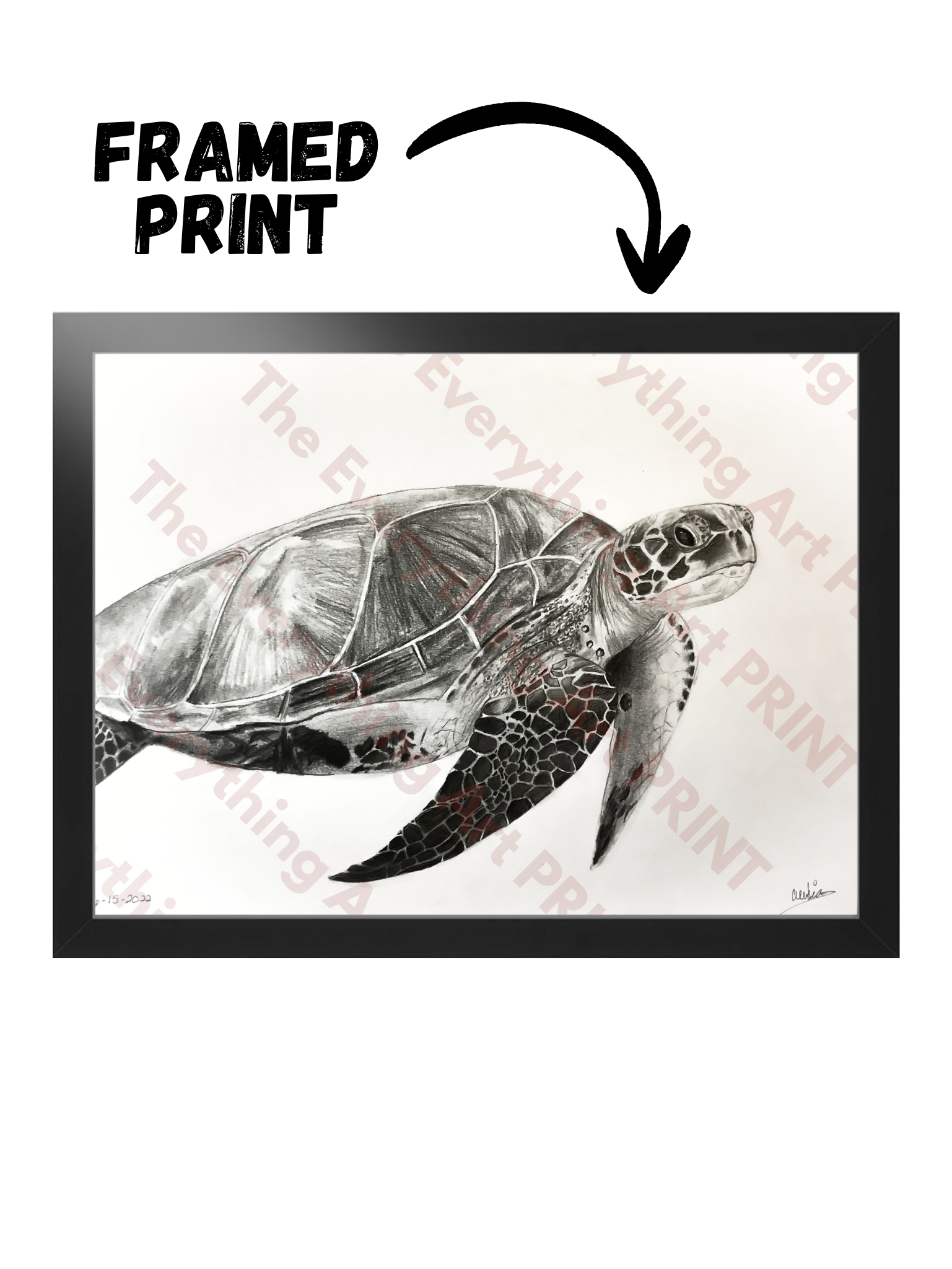 Turtle Print