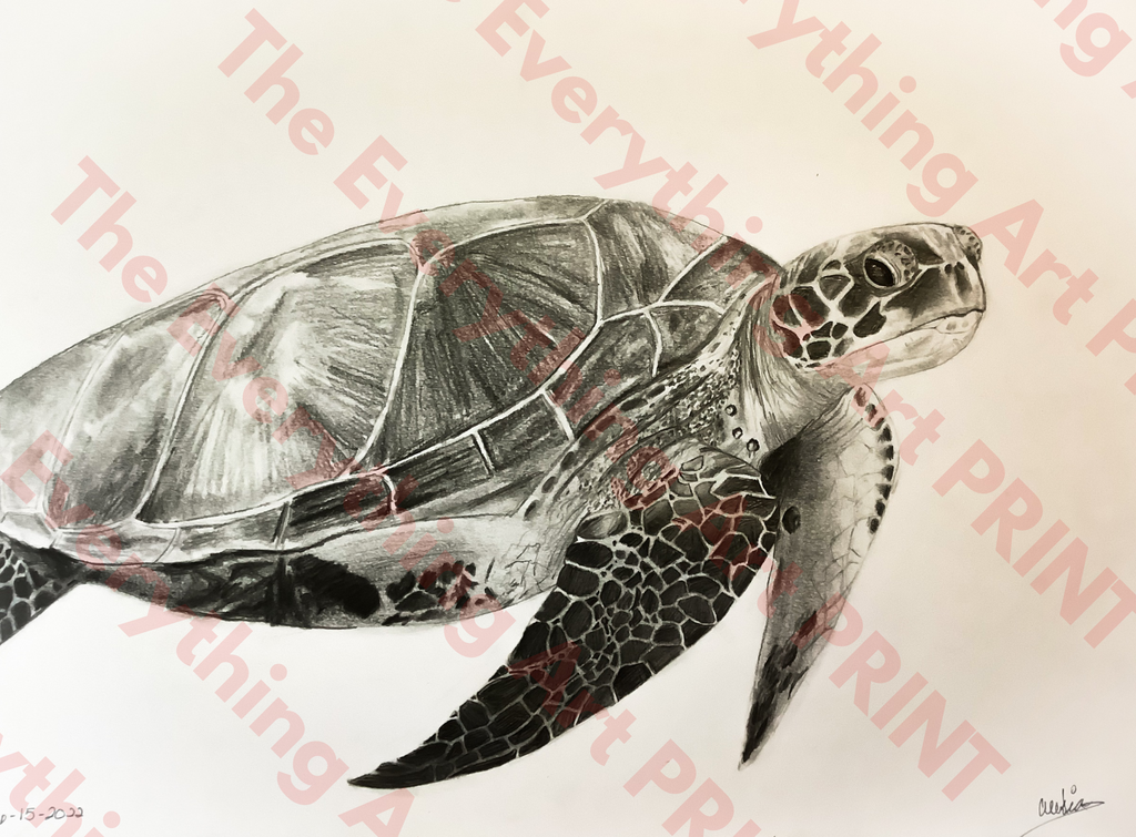 Turtle Print