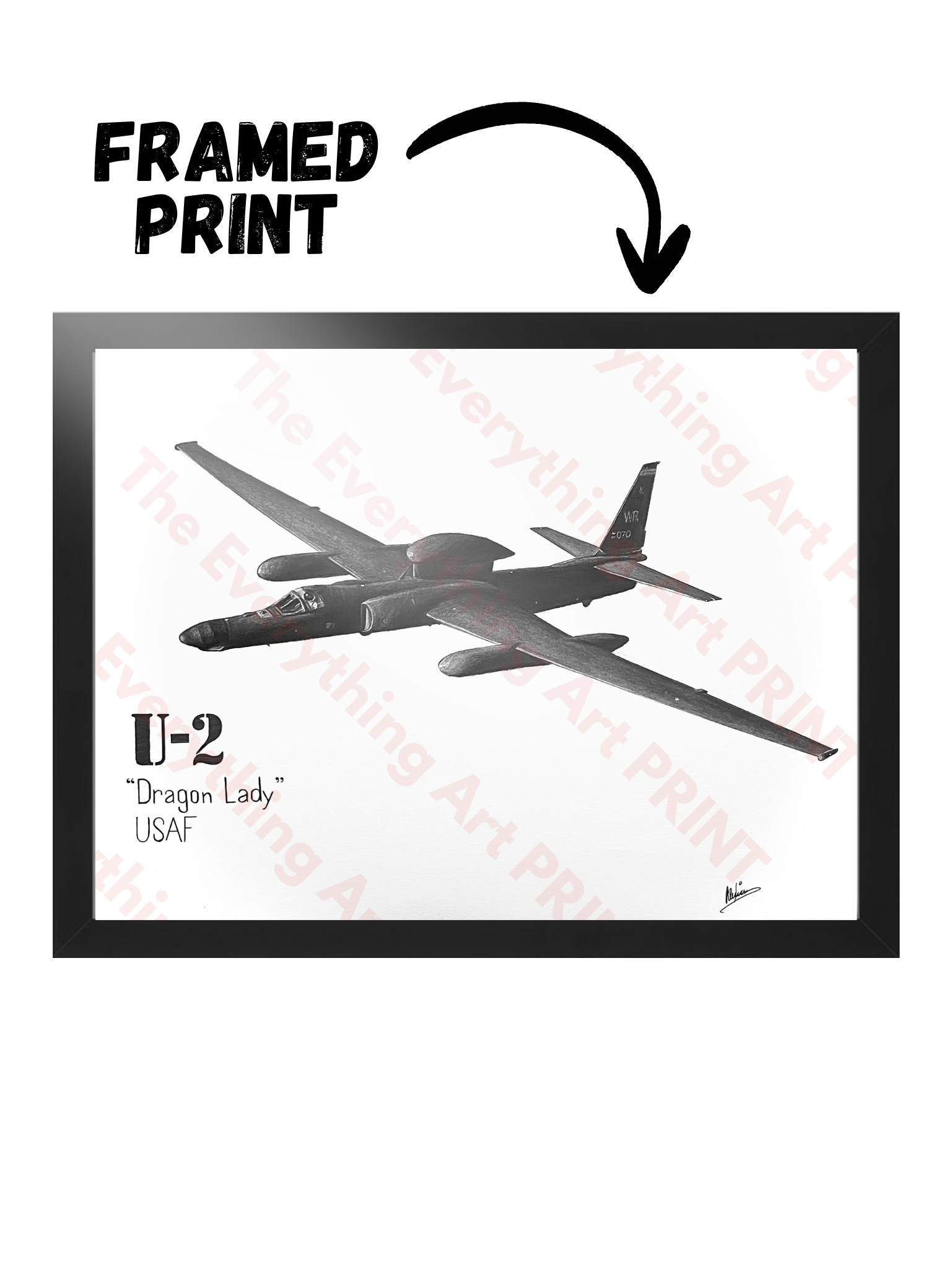 U-2 "Dragon Lady" Print