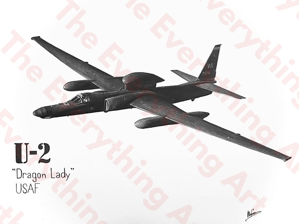 U-2 "Dragon Lady"