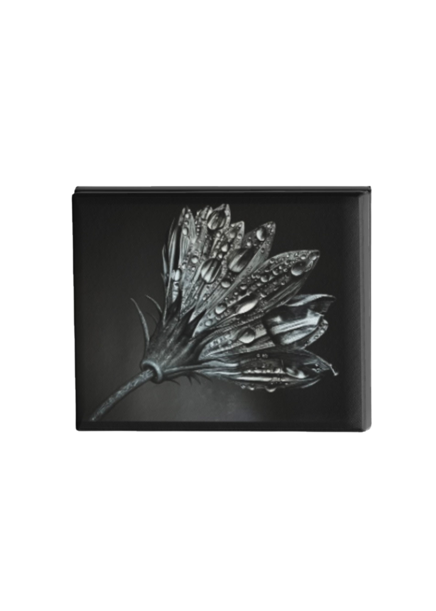 Sunflower in the Rain Print