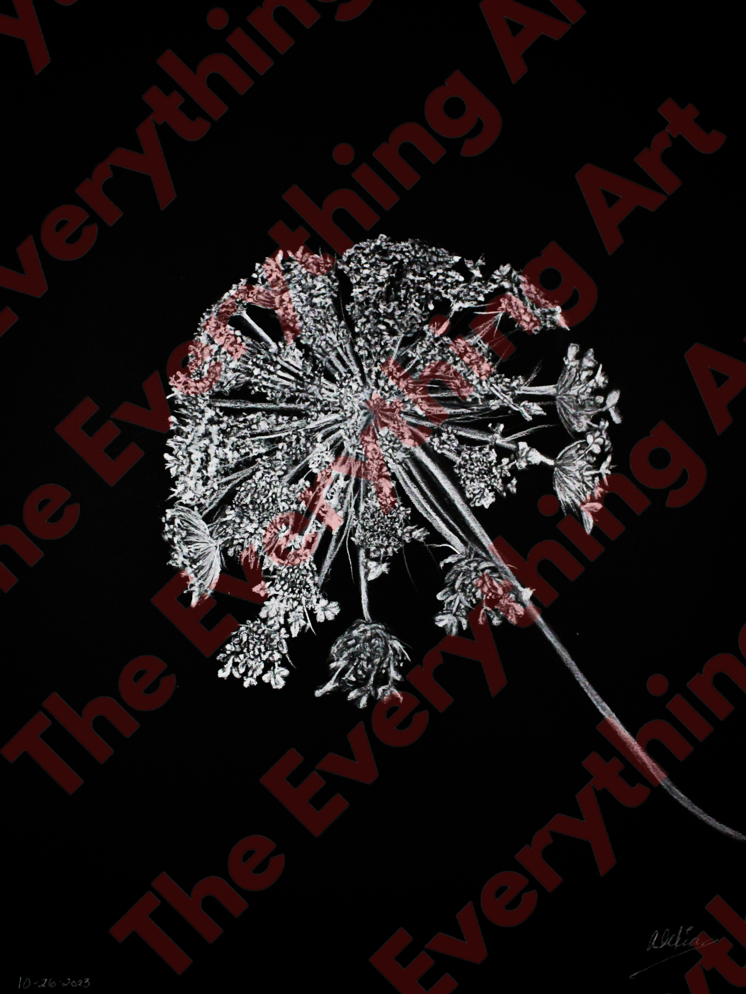 White Charcoal Flower