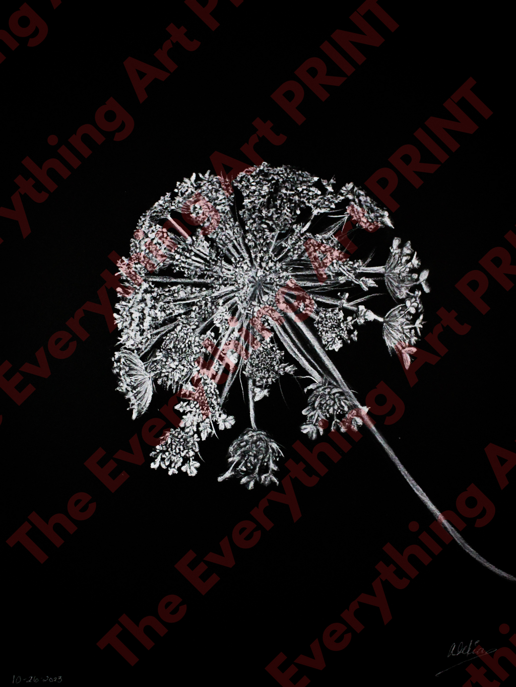White Charcoal Flower Print