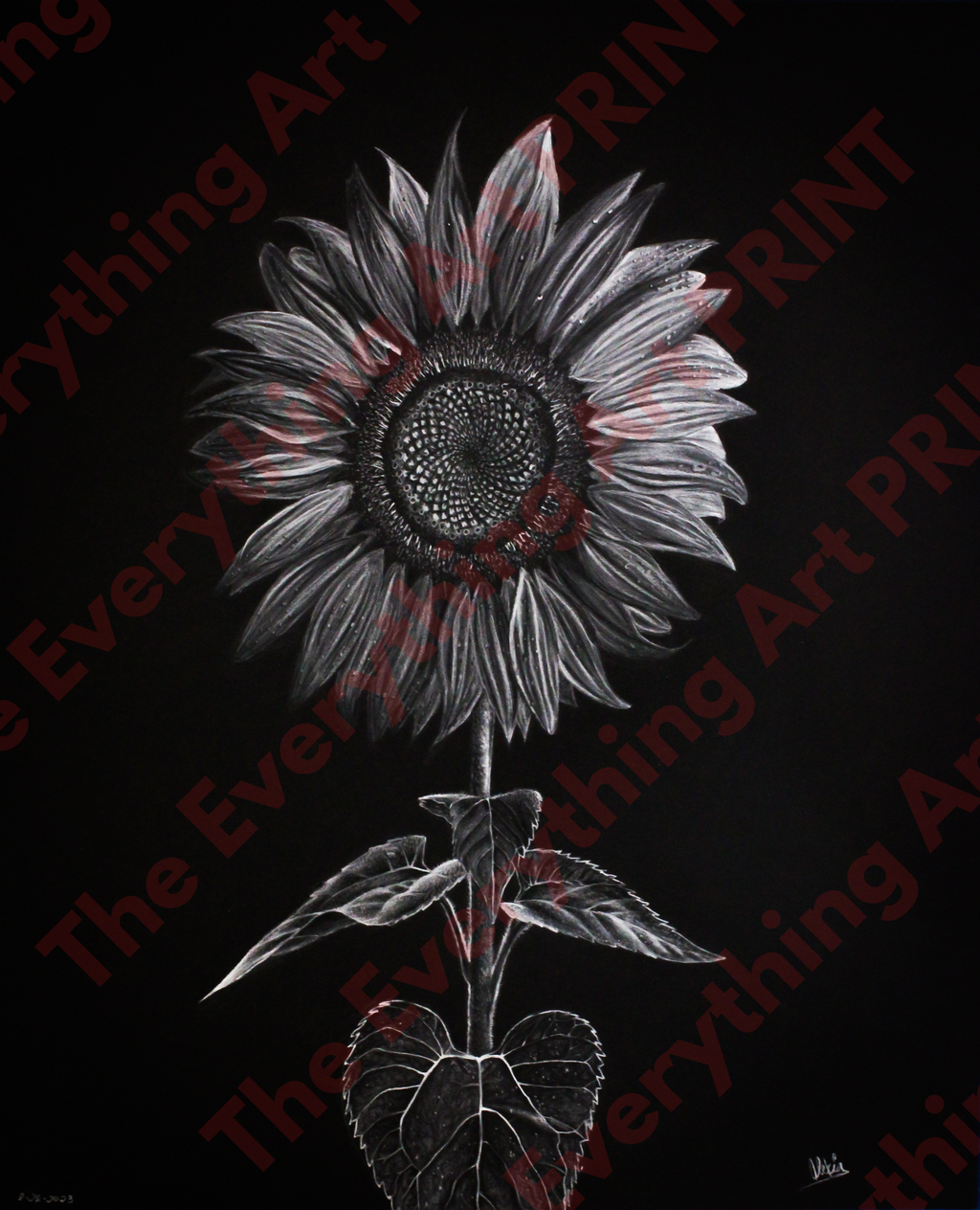 White Charcoal Sunflower Print